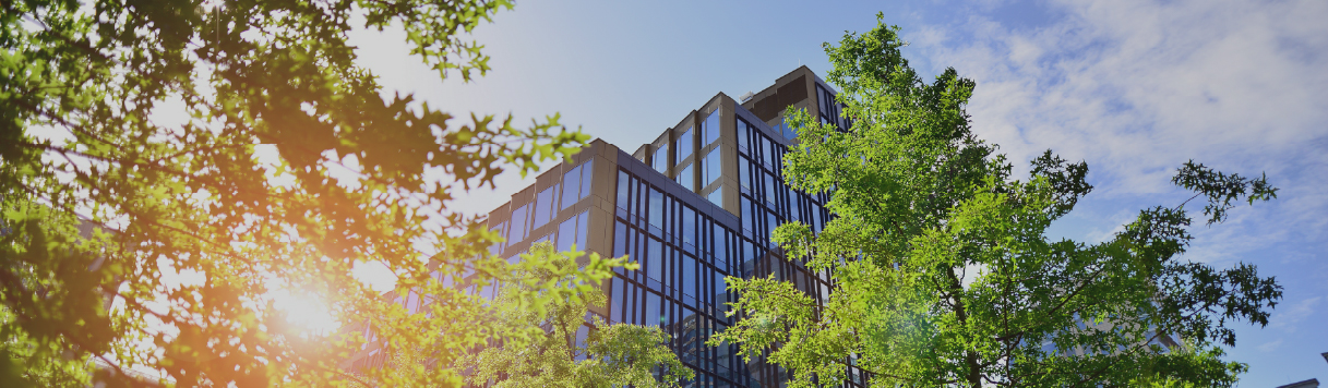 Sustainable Building Landscape