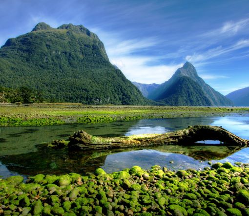 事業の脱炭素化