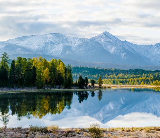 サステナビリティ