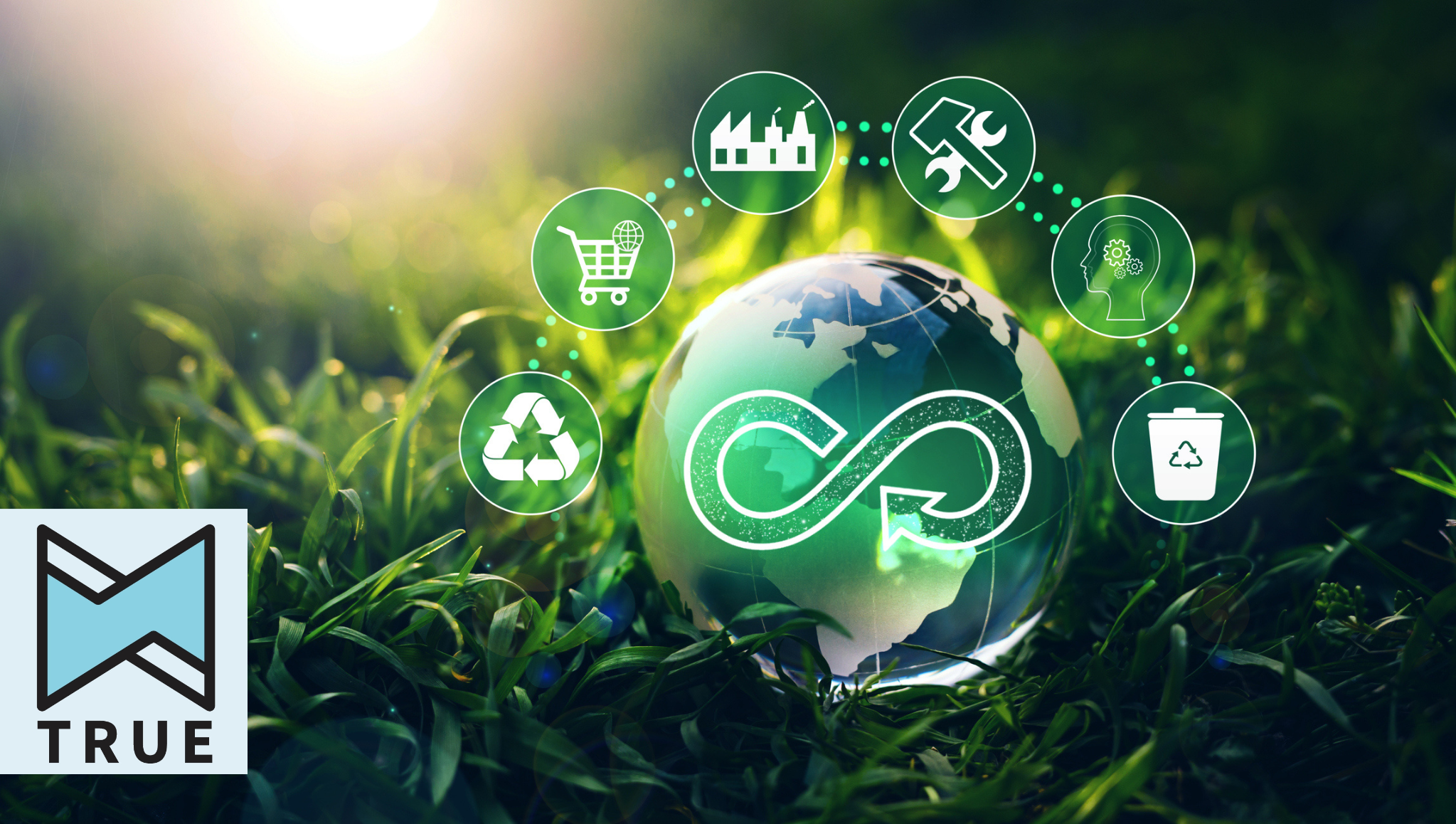 True Certification badge